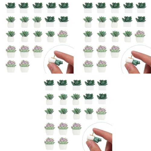 HASTHIP® 60PCS Decorative Push Pins Cute Succulent Plants Colorful Thumbtacks for Home Decor Assorted Resin Pushpins for Photo Wall Cork Board Bulletin Board