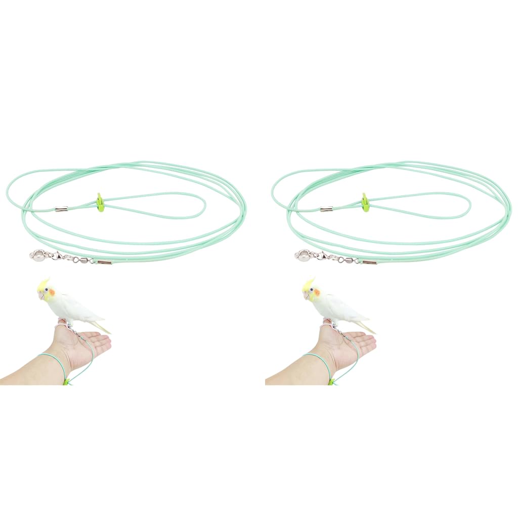 Qpets® Parrot Leg Ring 6.6ft Elastic Toy Bird Aviator Leash for Budgerigars Cockatiels with Feet Loop Adjustable Buckle Wrist Attachable 2PCS