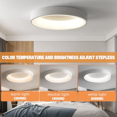 ELEPHANTBOAT® 65W Modern LED Ceiling Light 3-Color for Bedroom Minimalist Metal Ring Bathroom 15.75 Inch Dia 2PCS