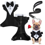 Qpets® Dog Tuxedo Harness, Fashionable Dog Tuxedo Harness Set with Traction Rope and Chest Harness, Dog Vest Pet Suit Holiday Dress Puppy Kitten Wearing (L)