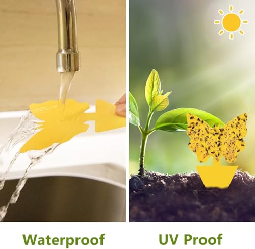 HASTHIP® 30 PCS Fruit Fly Trap for Home Yellow Sticky Trap for Flower Pot Strong Adhesive Pre-glued Bug Traps for Planter Flower Pots