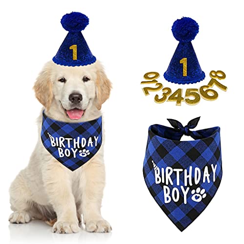 Qpets® Dog Birthday Party Supplies Set, Dog Birthday Party Supplies, Blue Theme Dog Birthday Supplies Happy Birthday Banner Birthday Cap Ballon Ribbon Bow Tie Collar (Blue)