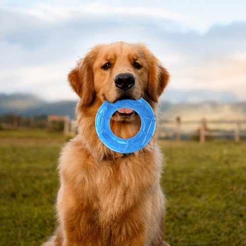 Qpets® Pet Chew Toy 5 Inches Dog Chew Toy Freezer Safe Cool Water Ring Toy Chew Toy Food-Grade TPR Ring Chew Toy for Dog Summer Cool Ring Chew Toy Water Ring Chew Toy