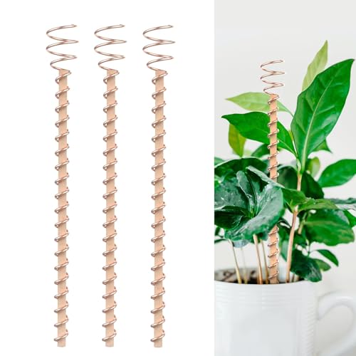HASTHIP® 3Pcs Copper Wire Plant Supports for Enhanced  Atmospheric Energy Garden Electroculture Plant Stakes With Spiraled Copper Wire 11 inches Plant Training Sticks for Edible Greens, Pothos