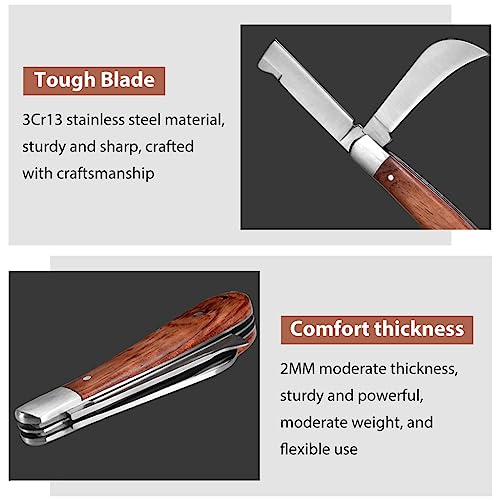 HASTHIP® Grafting Knife for Plants with Dual Blade, Stainless Steel Grafting Tool for Organic Fruits Tree, Foldable Bud Shoot Tool Pruning Cutter with Wooden Handle 3 PCS
