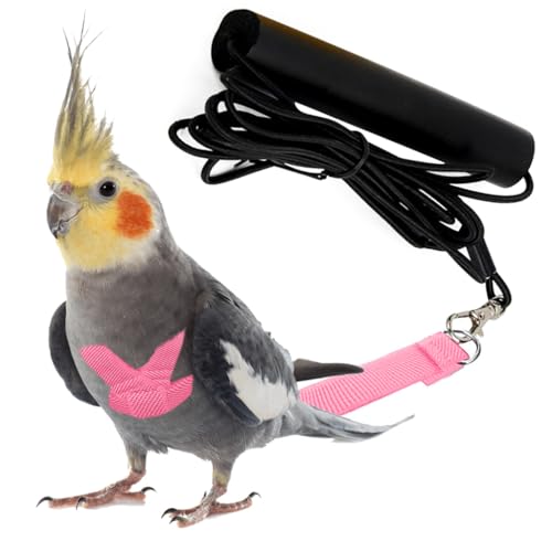 Qpets® Pet Parrot Harness Bird Harness and Elastic String Mini Lightweight Outdoor Harness for Pet Birds, Parrot Adjustable Belt for Bird Quick Release Strap Design Pet Parrot Supplies