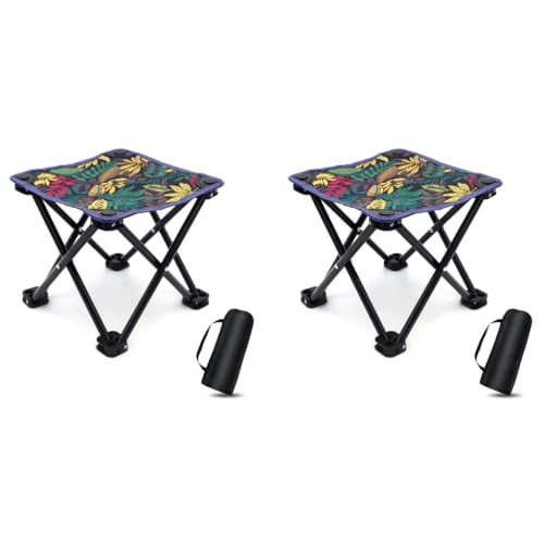 Proberos® Folding Chair Stool for Camping Travelling with Portable Bag Foldable for Fishing Hiking Gardening Beach Max 220lb 27 x 27 x 23cm 2 PCS