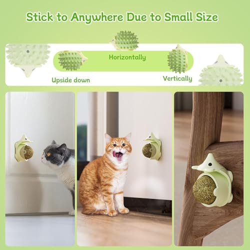 ZIBUYU® BrandName Multi-Functional Interactive Hedgehog Cat Scratcher Toy with Replaceable Catnip Ball, Self-Grooming & Licking, Dust & Moisture Resistant, Wall/Floor Stick, Green, for Indoor Cats
