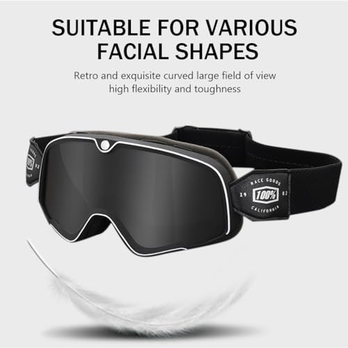 Proberos® Motorcycle Goggles Fashion Grey Helmet 400 UV Sun Protection Windproof Anti Fog Adjustable Headband for Riding Racing Men Women Youth 2PCS