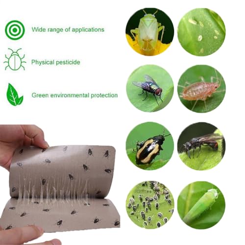 ZIBUYU® Strong Fly Stickers, 20 Sheets Green, Indoor Fly Trap Paper, Extra Strong Flying Insect Glue Sticker, Non-Toxic Biodegradable Pest Control for Home/Kitchen/Plants, 18.5x12.8cm