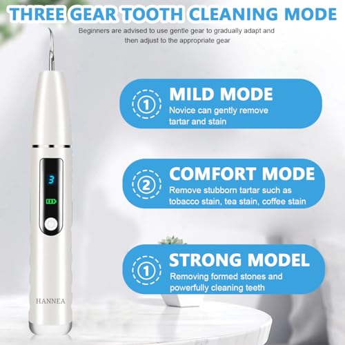 HANNEA® Teeth Whitening Kit Electric Tartar Remover with LED Stain 3 Working Modes Cleaning Kits 4 Stainless Steel Bits Oral Mirror Home Dental Care 2 PCS