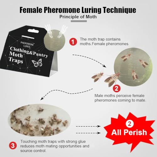 HASTHIP® 10PCS Lightweight Moth Traps Fly Killer Repellent for Home Balls and Treatment Prevention Non-Toxic Clothes Pantry