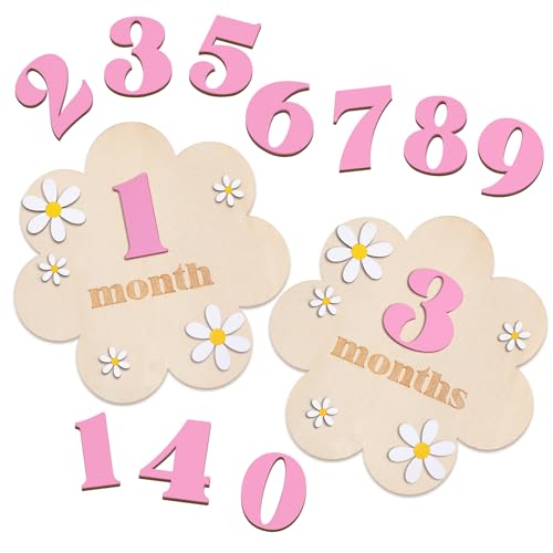 SNOWIE SOFT® 3D Wooden Daisy Baby Monthly Milestone Sign Cards 1-12 Months Interchangeable Monthly Milestone Wood Discs Announcement Sign for Baby Shower