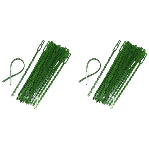 HASTHIP® 60PCS 23cm Plant Twist Ties Branch Support for Flowers Amaryllis Tomatoes Peony Lily Rose