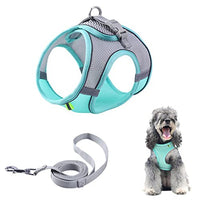 Qpets® Dog Vest Harness for Puppy with 1.5m Dogs Leash Adjustable Size Dog Vest Harness Breathable Mesh Fabric with Safety Reflective Strip Dog Harness for Dogs(M, Blue)