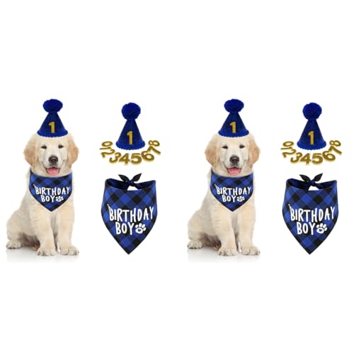 Qpets® Dog Gifts Hat for Birthday Cute Party Bandana Supplies Set Number Label Square Scarf and Doggie Blue Pack of 1 2PCS