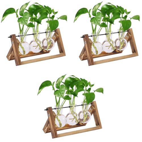 HASTHIP® 3Pcs Hydroponics Glass Planter with Wooden Stand for Desktop Table Decor Home Office Plant Terrarium Air Planter Bulb Vase for Propagating Money Plant Flower and More X 3