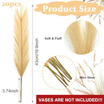 HASTHIP® Faux Pampas Grass Decor, Tall 18