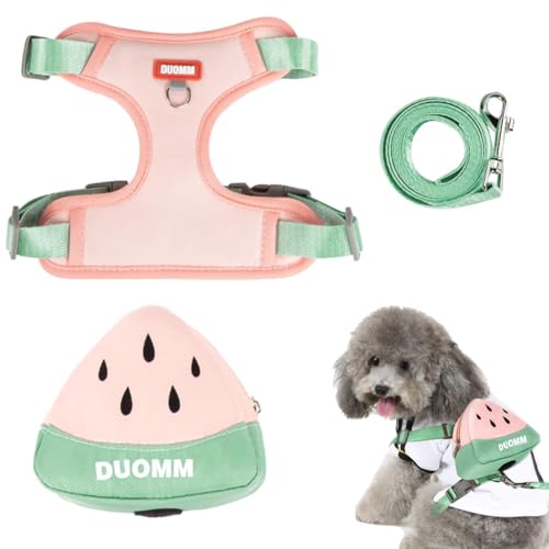 Qpets® Dog Harness Vest, Cute Puppy Dog Harness with Removable Zipper Pouch & Dog Leash, 4-Way Adjustable Dog Vest Harness Quick Release for Small Dog Cat Harness