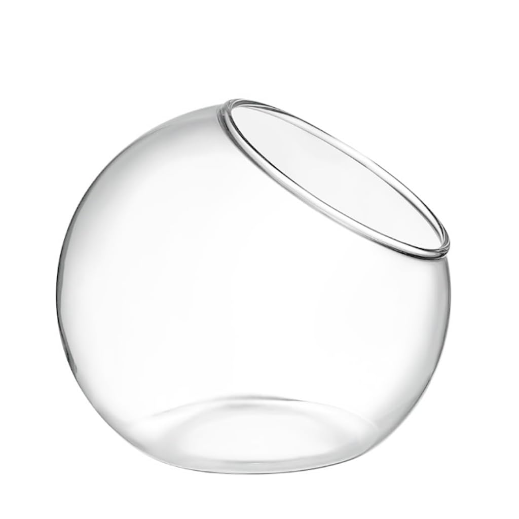 HASTHIP Glass Terrarium Container for DIY Mini Plant Display with Angled Opening | Clear Spherical Vase for Home Décor