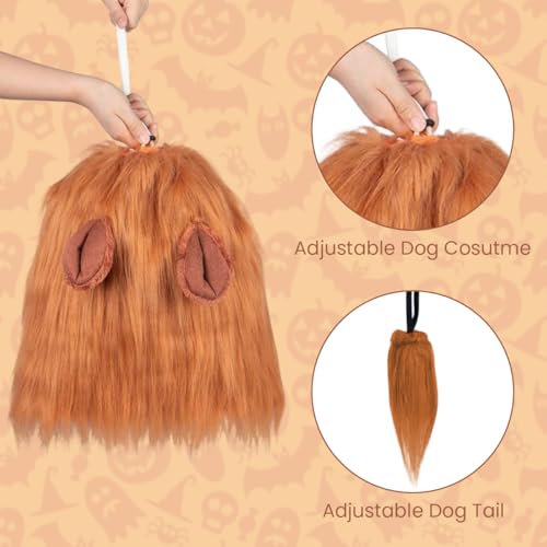 Qpets® Lion Costume Set for Dogs - Adjustable Mane Headpiece & Tail with Ears Halloween Dress Up Party Accessories for Medium Large Breed Dogs Christmas Festival Photo Props Pet Costume