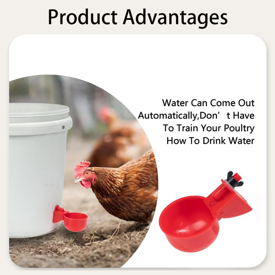 ZIBUYU Automatic Chicken Waterer Cups for Clean Hydration and Easy Backyard Flock Care