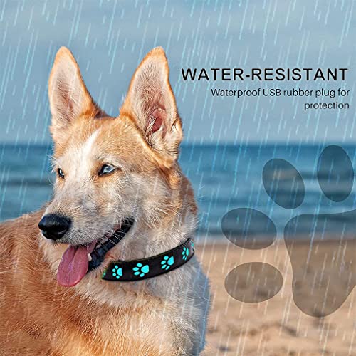 Qpets® Dog Collar for Medium Dog, 7 Colours LED Dog Collor Light Up Dog Collar USB Rechargeable Quick Release Buckle, Adjustable Size PVC Leather Dog Collar, Dog Neck Collar(Size: M)