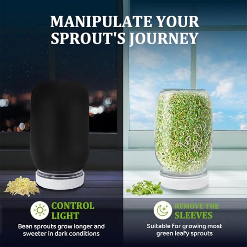 HASTHIP® Seed Sprouting Jar Kit Bean Sprouts Maker 32OZ Glass with Ventilation Mesh Screen Lids Light Shield Brush for Homemade Edible 2 PCS