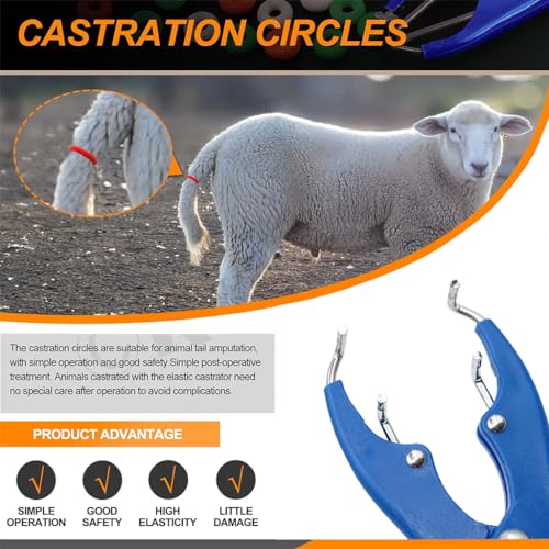HASTHIP® Livestock Castration Bander Tail Cutting Pliers Banding Tool with 200PCS Castrator Rings Balloon Expander Docking Equipment for Lambs Piglets