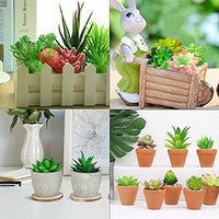 HASTHIP® Artificial Succulent Flowers Plants, Mini Unpotted Decor, Stems Mixed Fake Succulents Plants, DIY Mini Fake Succulents Plant (White) -12 Pieces