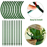 HASTHIP® 10pcs Plant Stakes Suport, Reusable Palstic 30cm Plant Stake Flower Support Stake Rings, Adjustable Plant Support Sticks for Phalaenopsis Orchid Single Stem Flowers Amaryllis Peony Lily