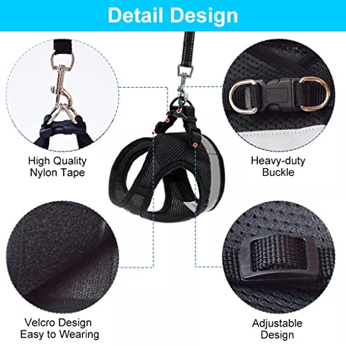 Qpets® Cat Harness for Small Dogs, Adjustable Cat Belt with Safety Reflective Strip, Breathable Mesh Fabric Cat Accessories, Cat Vest Harness with Cat Leash (Black, Suitable for 1-2.5 kg)