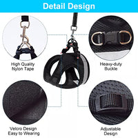 Qpets® Cat Harness for Small Dogs, Adjustable Cat Belt with Safety Reflective Strip, Breathable Mesh Fabric Cat Accessories, Cat Vest Harness with Cat Leash (Black, Suitable for 1-2.5 kg)