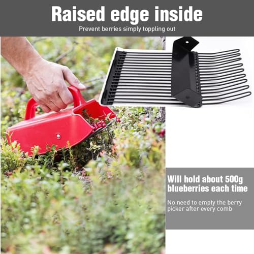 HASTHIP Metallic Berry Picker Comb & Rake - Plastic Blueberry Picker Scoop With Ergonomic Handl - Fruit Picker Tool - Blueberry Rake Scoop for Orchard - Easier Berry Picking for Blackberries & Cherry