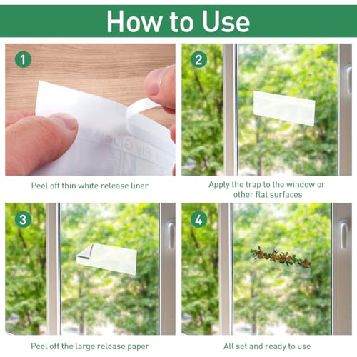 HASTHIP 30Pcs Fly Trap Kit for Insects, Aphids, Leaf Minor, Thriphs, Ultra sticky Transparent Fly Trap Sticky Strips, Fruit Print Sticky Fly Trap  for Wall, Kitchen, Window, Room (22cm x 8cm )