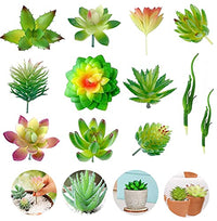 HASTHIP® Artificial Succulent Flowers Plants, Mini Unpotted Decor, Stems Mixed Fake Succulents Plants, DIY Mini Fake Succulents Plant (White) -12 Pieces