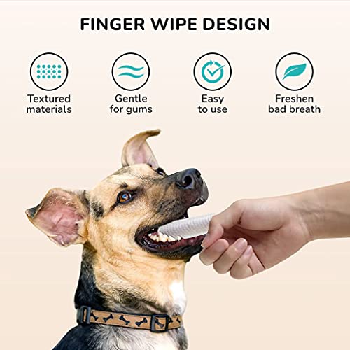Qpets® Pet Dental Wipes for Dogs & Cats, Finger-Sleeve Teeth Cleaning Wipes Dental Care, Plaque Removal & Breath Freshening (2 Pack, 100 Count)