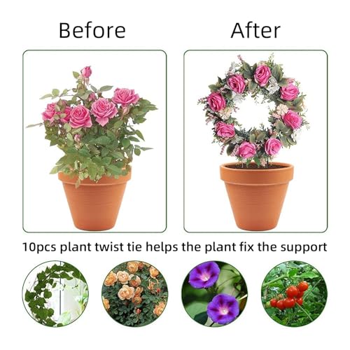 ZIBUYU® Climbing Plants