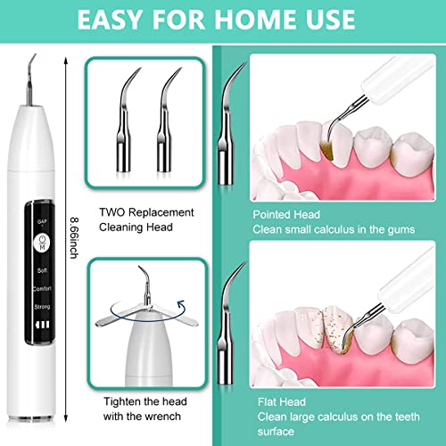 HANNEA® Ultrasonic Plaque Remover Electric Plaque Remover with 480P Camera, 3 Working Modes, Cordless Electric Plaque Remover with 2 Bits and Oral Mirror, Remove Teeth Stain Tartar Plaque Calculus