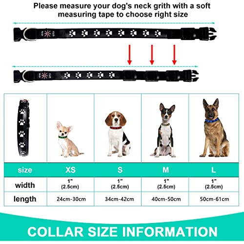 Qpets® Dog Collar for Medium Dog, 7 Colours LED Dog Collor Light Up Dog Collar USB Rechargeable Quick Release Buckle, Adjustable Size PVC Leather Dog Collar, Dog Neck Collar(Size: M)