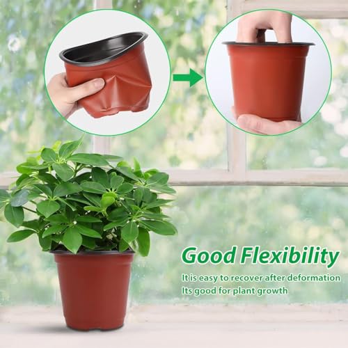 HASTHIP® 4.72 Inches Flower Pot 50pcs Plant Pot with Draining Holes Seed Nurserying Pot Plastic Flower Pot Plant Pot