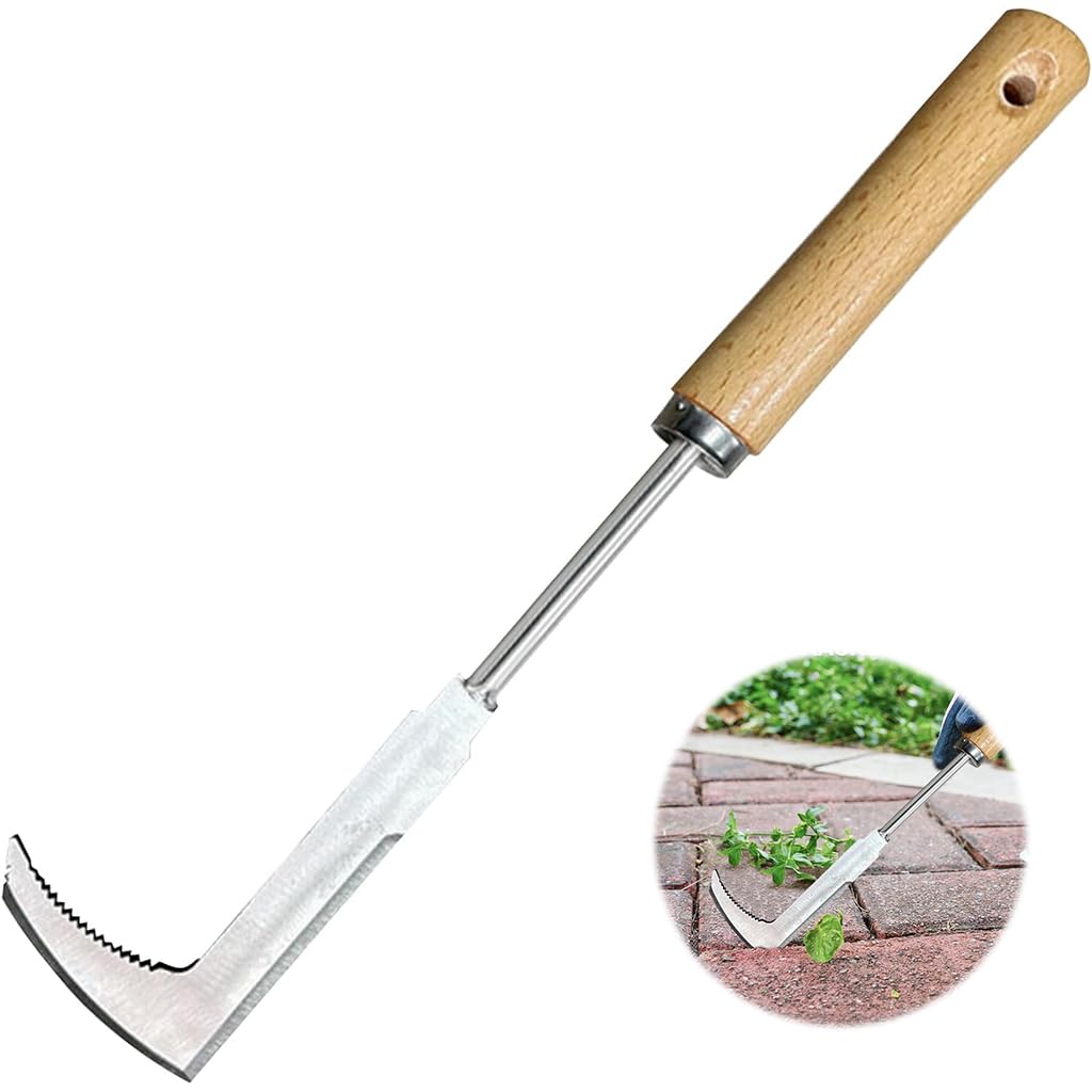 HASTHIP Crack Weeder Tool for Lawn and Yard featuring 30cm Serrated Blade and Wooden Handle