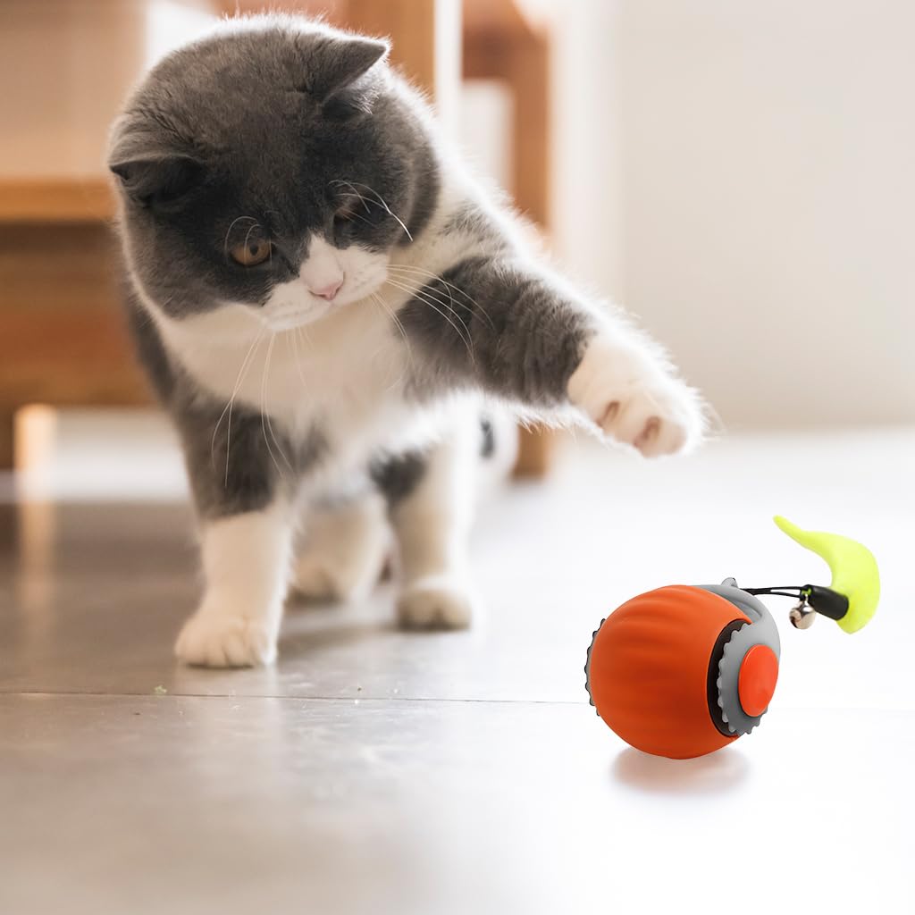 Qpets Dog Toys Set for Interactive Play with 12 Squeaky Plush Chew Toys | Small Medium Puppies