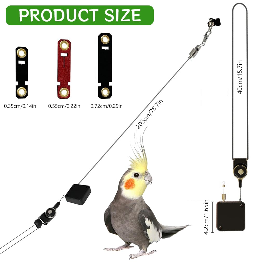 Qpets® Bird Leash, 6.6ft Parrot Leash Birds Leash with 3 Sizes Feet Loops Retractable Bird Leash Stainless Wire Bird Leash Reel Case Outdoor Bird Aviator Leash for Parrot, Budgerigars