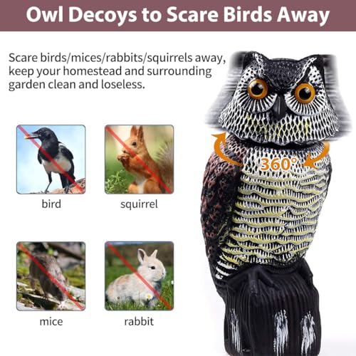 HASTHIP® Outdoor Bird Repellent Devices Pigeon Deterrent Scare for Balcony 360 Degree Rotating Head Owl Decoys Garden Yard 3PCS