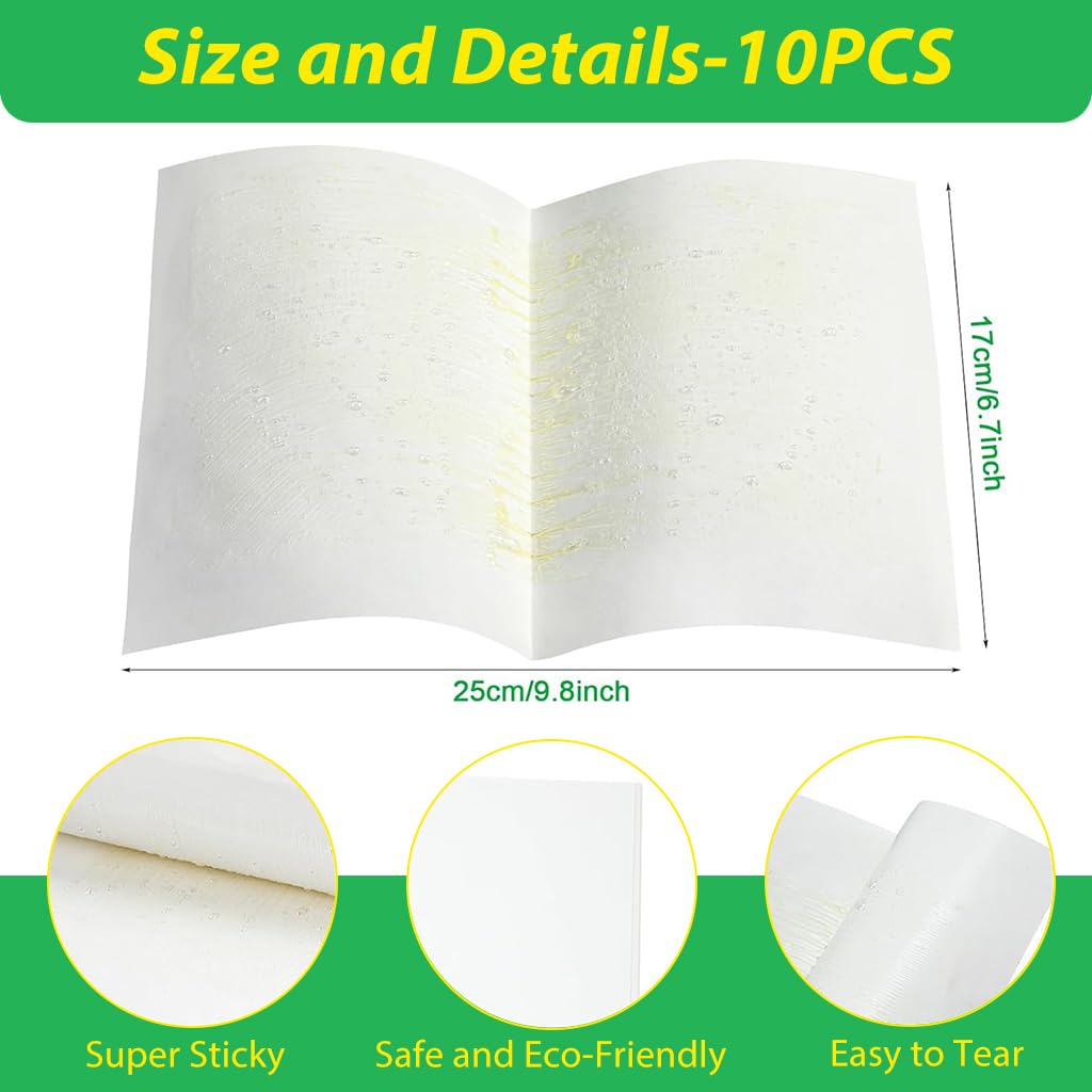 HASTHIP Adhesive Fly Trap for Kitchen and Garage with Large Surface Non-Toxic 10 Count | Odorless Insect Catcher