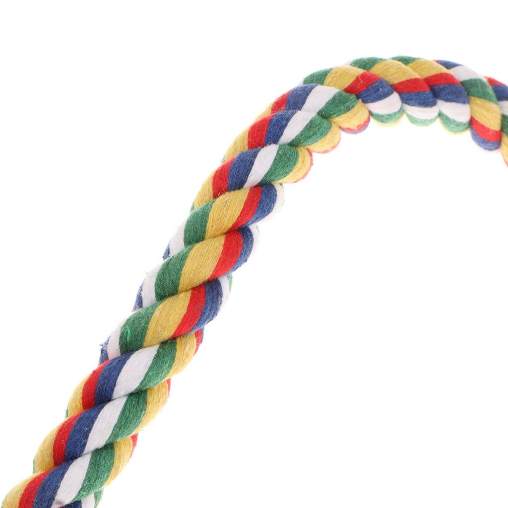 ZIBUYU Birds and Parrot Toy for Exercise with 1m Rope Perch and Steel Core | Colorful Swing