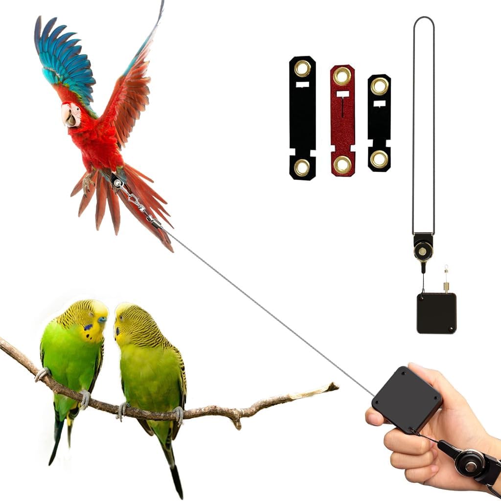 Qpets Parrot Leg Ring for Outdoor Exploration with 6.6 ft Retractable Wire | Fits Multiple Birds