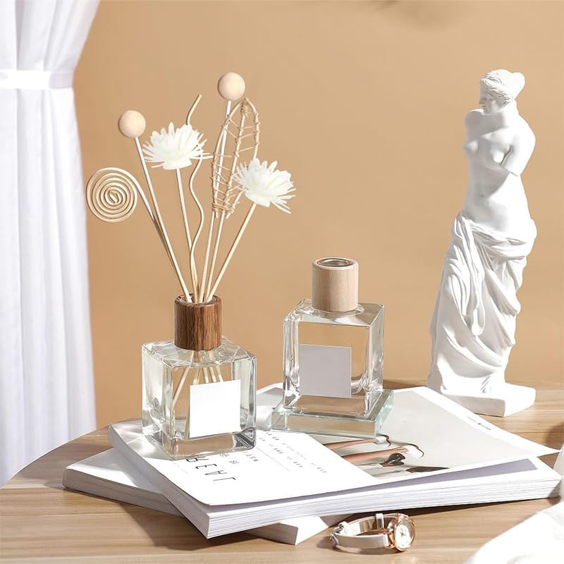 HASTHIP Reed Diffuser Sticks for Home and Office with 12Pcs 9.8 in Natural Rattan | Even Aroma Release