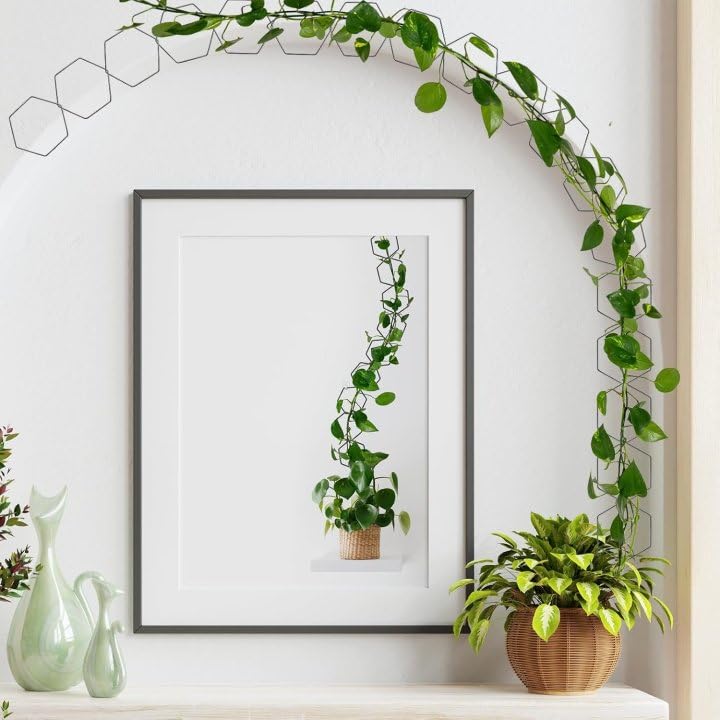 HASTHIP® 36PCS Garden Chain Trellis for Climbing Plants Metal Hexagon Plant Wall Indoor Outdoor Vine Support Modern Houseplant Accessories
